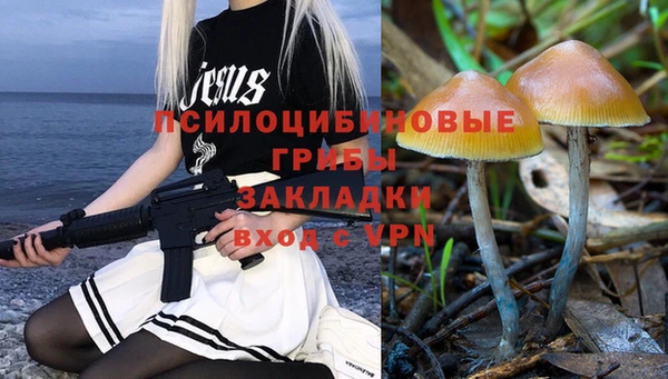 spice Алзамай
