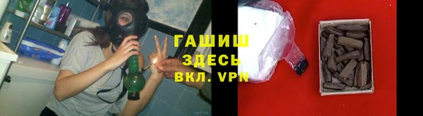 СК Алексин