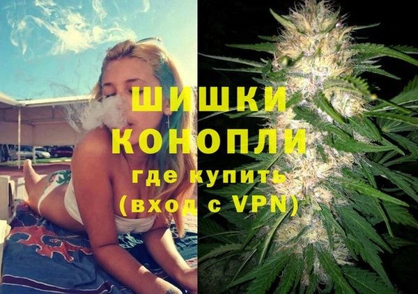 СК Алексин