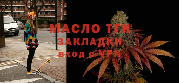 СК Алексин