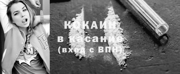 СК Алексин