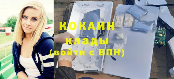 spice Алзамай