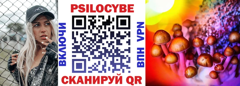 где купить наркоту  Бикин  Псилоцибиновые грибы Psilocybe 